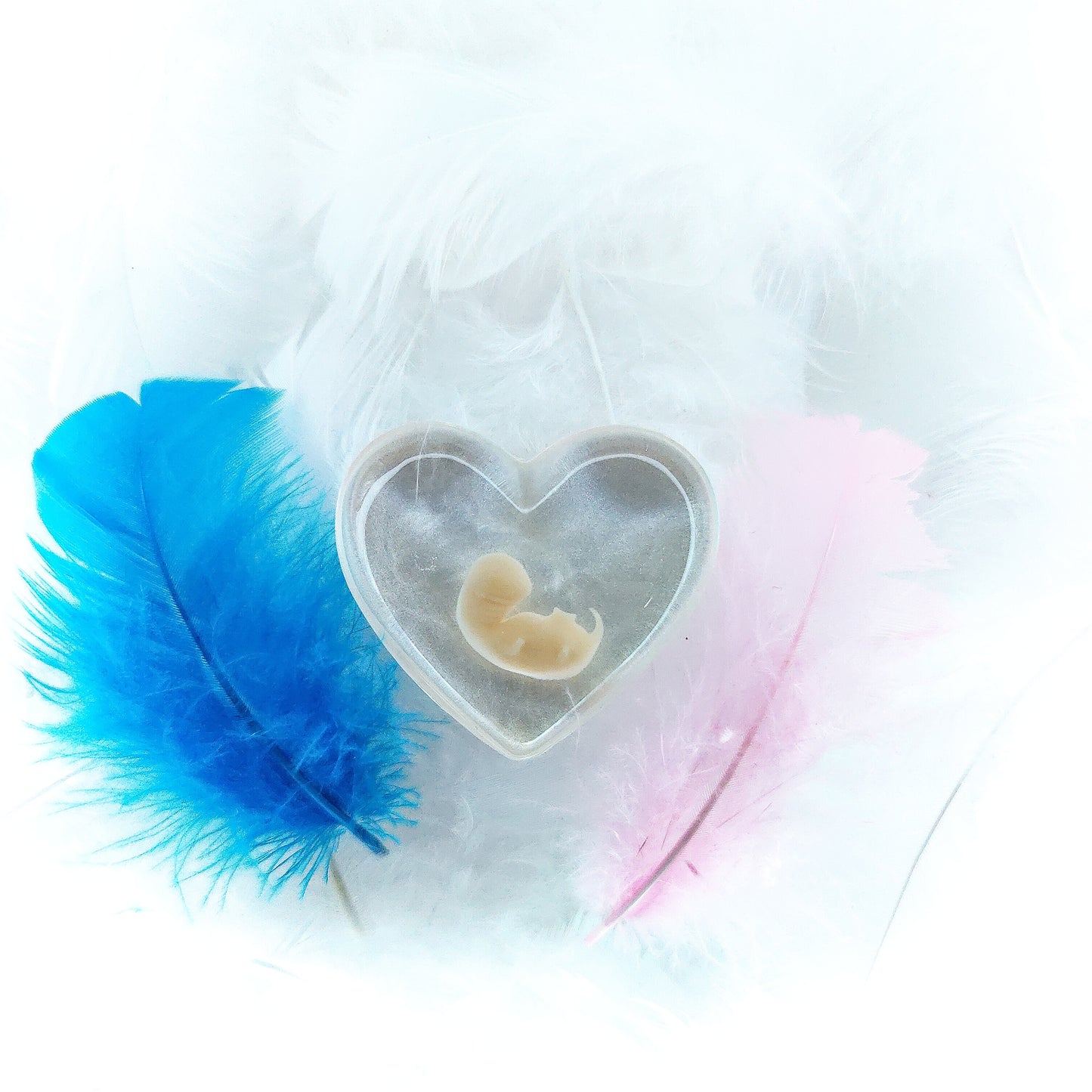 6-7 Week Baby Loss Heart