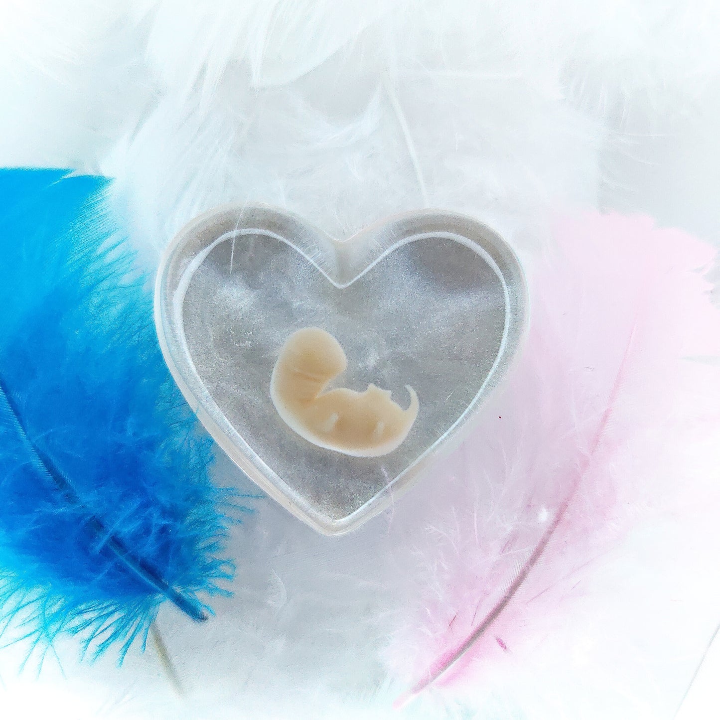 6-7 Week Baby Loss Heart