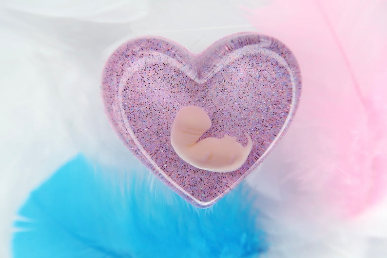 6-7 Week Baby Loss Heart