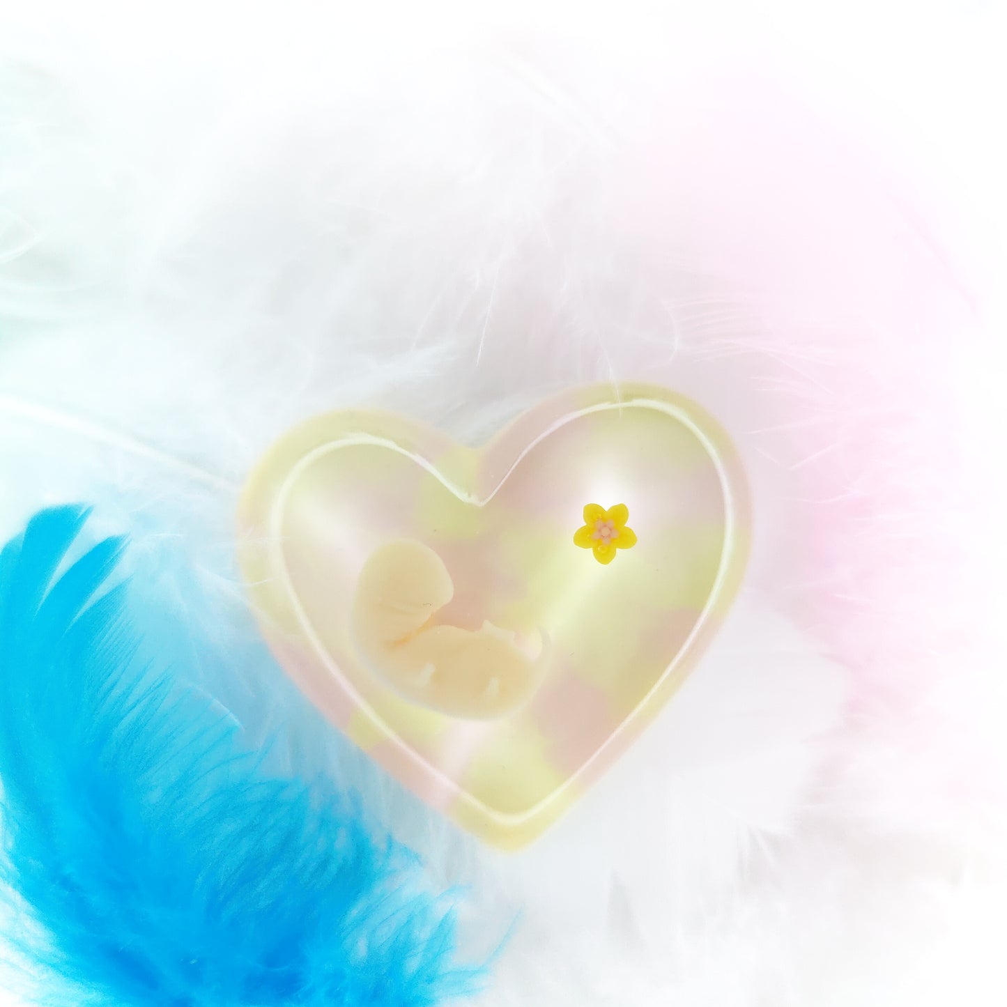 6-7 Week Baby Loss Heart