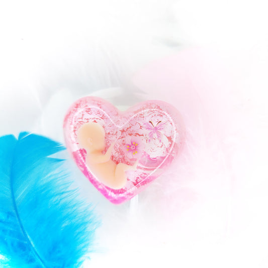 12-41 Week Baby Loss Heart