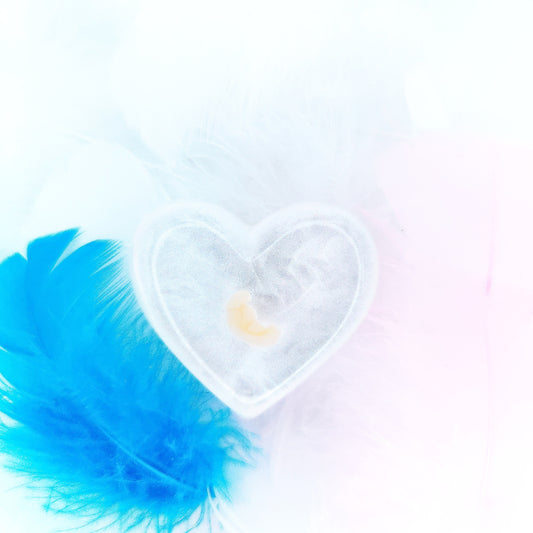 4-5 Week Baby Loss Heart