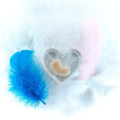 8-11 Week Baby Loss Heart
